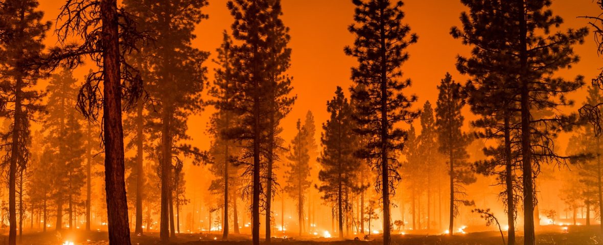 Les feux de forêt ravagent l’Europe comme jamais auparavant
