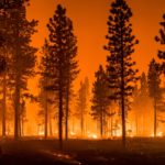Les feux de forêt ravagent l’Europe comme jamais auparavant