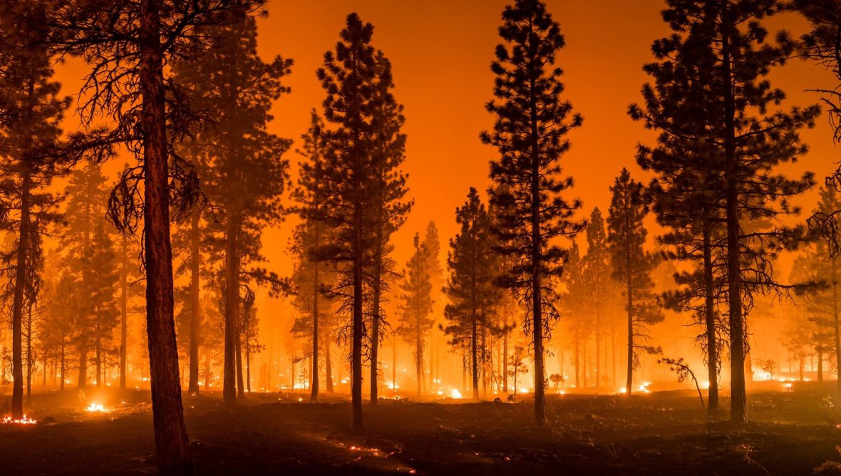 Les feux de forêt ravagent l’Europe comme jamais auparavant