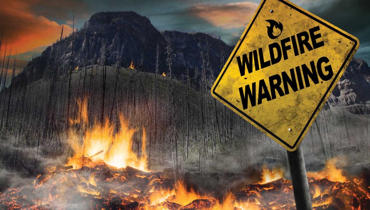 N’attendez Pas La Fumée – Le Besoin Crucial D’une Alerte Rapide Contre Les Incendies De Forêt